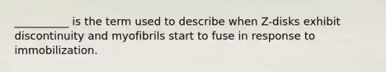 __________ is the term used to describe when Z-disks exhibit discontinuity and myofibrils start to fuse in response to immobilization.