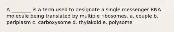 A ________ is a term used to designate a single messenger RNA molecule being translated by multiple ribosomes. a. couple b. periplasm c. carboxysome d. thylakoid e. polysome