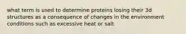 what term is used to determine proteins losing their 3d structures as a consequence of changes in the environment conditions such as excessive heat or salt