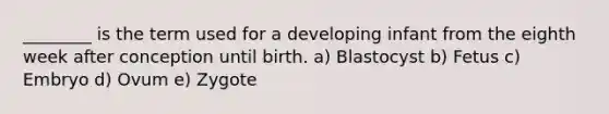 ________ is the term used for a developing infant from the eighth week after conception until birth. a) Blastocyst b) Fetus c) Embryo d) Ovum e) Zygote