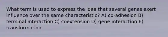 What term is used to express the idea that several genes exert influence over the same characteristic? A) co-adhesion B) terminal interaction C) coextension D) gene interaction E) transformation