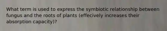 What term is used to express the symbiotic relationship between fungus and the roots of plants (effecively increases their absorption capacity)?