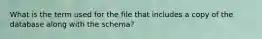 What is the term used for the file that includes a copy of the database along with the schema?