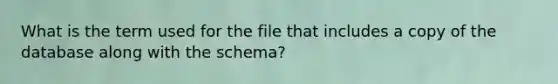 What is the term used for the file that includes a copy of the database along with the schema?