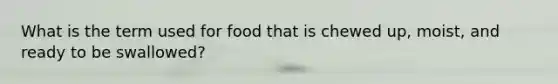 What is the term used for food that is chewed up, moist, and ready to be swallowed?