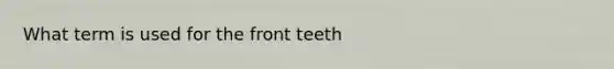 What term is used for the front teeth