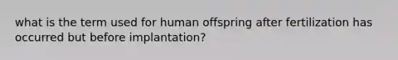 what is the term used for human offspring after fertilization has occurred but before implantation?