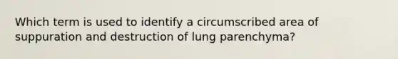 Which term is used to identify a circumscribed area of suppuration and destruction of lung parenchyma?