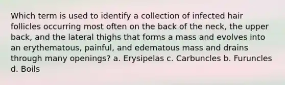 Which term is used to identify a collection of infected hair follicles occurring most often on the back of the neck, the upper back, and the lateral thighs that forms a mass and evolves into an erythematous, painful, and edematous mass and drains through many openings? a. Erysipelas c. Carbuncles b. Furuncles d. Boils