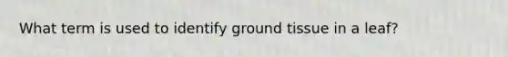 What term is used to identify ground tissue in a leaf?