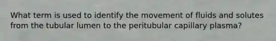 What term is used to identify the movement of fluids and solutes from the tubular lumen to the peritubular capillary plasma?