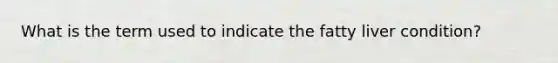 What is the term used to indicate the fatty liver condition?