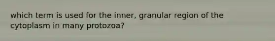 which term is used for the inner, granular region of the cytoplasm in many protozoa?