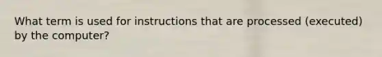 What term is used for instructions that are processed (executed) by the computer?