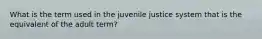 What is the term used in the juvenile justice system that is the equivalent of the adult term?