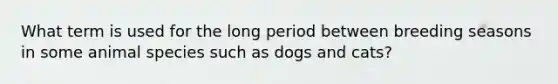 What term is used for the long period between breeding seasons in some animal species such as dogs and cats?