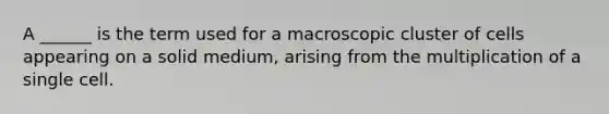 A ______ is the term used for a macroscopic cluster of cells appearing on a solid medium, arising from the multiplication of a single cell.