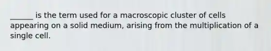 ______ is the term used for a macroscopic cluster of cells appearing on a solid medium, arising from the multiplication of a single cell.