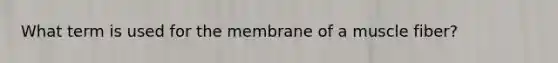 What term is used for the membrane of a muscle fiber?