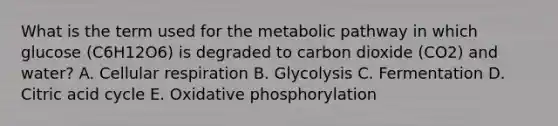 What is the term used for the metabolic pathway in which glucose (C6H12O6) is degraded to carbon dioxide (CO2) and water? A. Cellular respiration B. Glycolysis C. Fermentation D. Citric acid cycle E. Oxidative phosphorylation