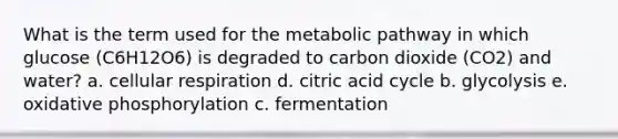 What is the term used for the metabolic pathway in which glucose (C6H12O6) is degraded to carbon dioxide (CO2) and water? a. cellular respiration d. citric acid cycle b. glycolysis e. oxidative phosphorylation c. fermentation