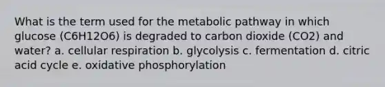 What is the term used for the metabolic pathway in which glucose (C6H12O6) is degraded to carbon dioxide (CO2) and water? a. <a href='https://www.questionai.com/knowledge/k1IqNYBAJw-cellular-respiration' class='anchor-knowledge'>cellular respiration</a> b. glycolysis c. fermentation d. citric acid cycle e. <a href='https://www.questionai.com/knowledge/kFazUb9IwO-oxidative-phosphorylation' class='anchor-knowledge'>oxidative phosphorylation</a>