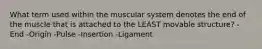 What term used within the muscular system denotes the end of the muscle that is attached to the LEAST movable structure? -End -Origin -Pulse -Insertion -Ligament