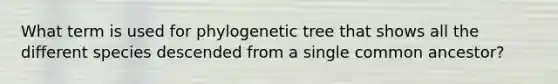 What term is used for phylogenetic tree that shows all the different species descended from a single common ancestor?