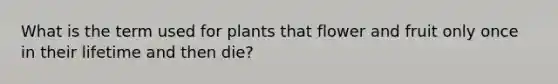 What is the term used for plants that flower and fruit only once in their lifetime and then die?