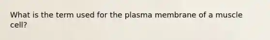 What is the term used for the plasma membrane of a muscle cell?