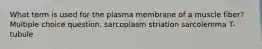 What term is used for the plasma membrane of a muscle fiber? Multiple choice question. sarcoplasm striation sarcolemma T-tubule