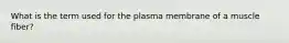 What is the term used for the plasma membrane of a muscle fiber?