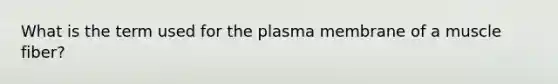 What is the term used for the plasma membrane of a muscle fiber?