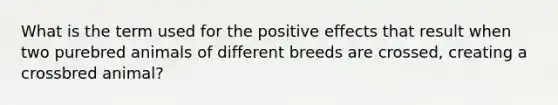 What is the term used for the positive effects that result when two purebred animals of different breeds are crossed, creating a crossbred animal?