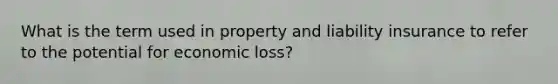 What is the term used in property and liability insurance to refer to the potential for economic loss?