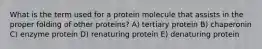 What is the term used for a protein molecule that assists in the proper folding of other proteins? A) tertiary protein B) chaperonin C) enzyme protein D) renaturing protein E) denaturing protein