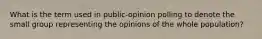 What is the term used in public-opinion polling to denote the small group representing the opinions of the whole population?