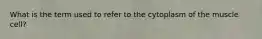 What is the term used to refer to the cytoplasm of the muscle cell?