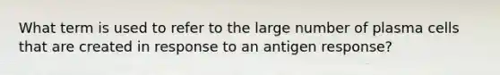 What term is used to refer to the large number of plasma cells that are created in response to an antigen response?