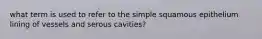 what term is used to refer to the simple squamous epithelium lining of vessels and serous cavities?