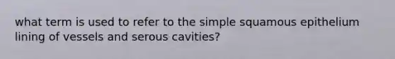 what term is used to refer to the simple squamous epithelium lining of vessels and serous cavities?