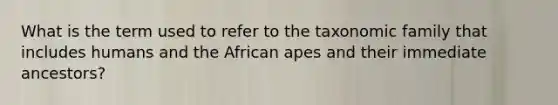 What is the term used to refer to the taxonomic family that includes humans and the African apes and their immediate ancestors?