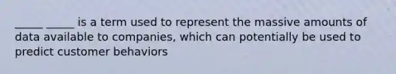 _____ _____ is a term used to represent the massive amounts of data available to companies, which can potentially be used to predict customer behaviors