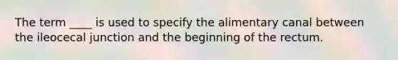 The term ____ is used to specify the alimentary canal between the ileocecal junction and the beginning of the rectum.