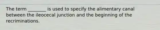 The term ________ is used to specify the alimentary canal between the ileocecal junction and the beginning of the recriminations.