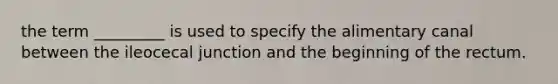 the term _________ is used to specify the alimentary canal between the ileocecal junction and the beginning of the rectum.