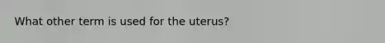 What other term is used for the uterus?