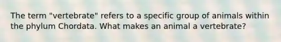 The term "vertebrate" refers to a specific group of animals within the phylum Chordata. What makes an animal a vertebrate?