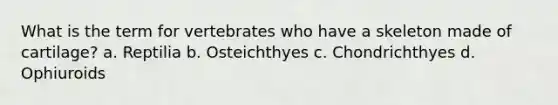 What is the term for vertebrates who have a skeleton made of cartilage? a. Reptilia b. Osteichthyes c. Chondrichthyes d. Ophiuroids