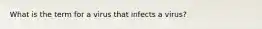 What is the term for a virus that infects a virus?